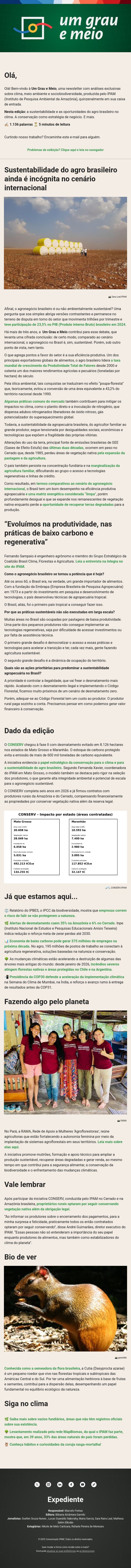 O agronegócio no Brasil é sustentável? Uma contribuição para o debate email from IPAM screenshot