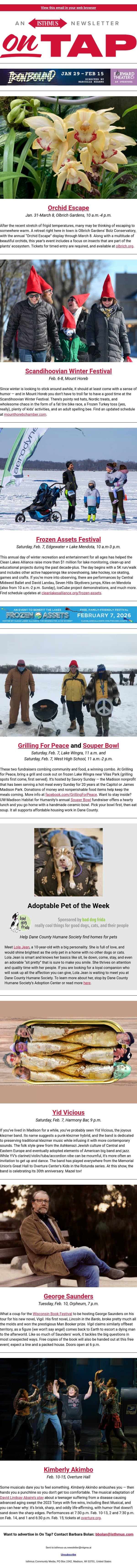 🥶 trolls + more events in and around Madison Feb. 5-12 2026 email from Isthmus screenshot