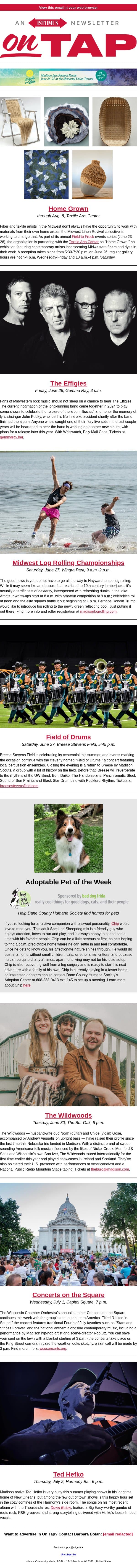 🥁 🥁 at Breese + more events in and around Madison June 25-July 2, 2026 email from Isthmus screenshot