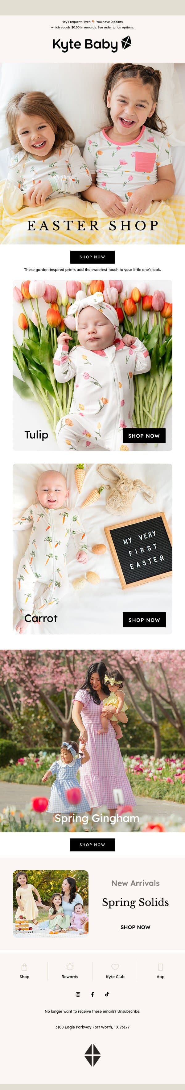 Easter Florals + Gingham 🌷 🥕 email from Kyte screenshot