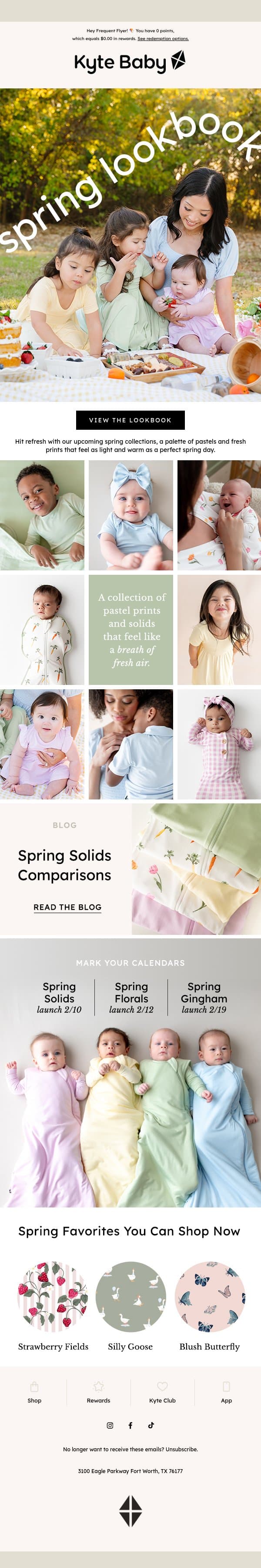 Spring Things 💐 email from Kyte screenshot