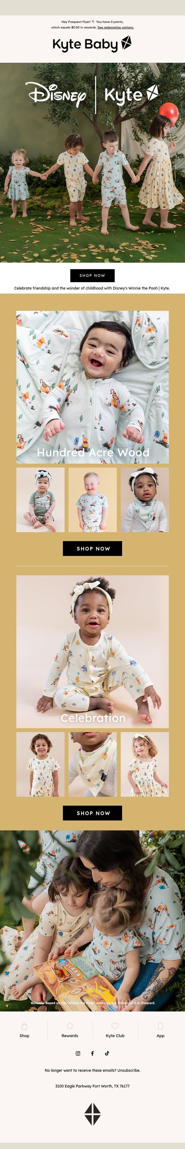 Disney's Winnie the Pooh | Kyte has arrived! 🍯 email from Kyte screenshot