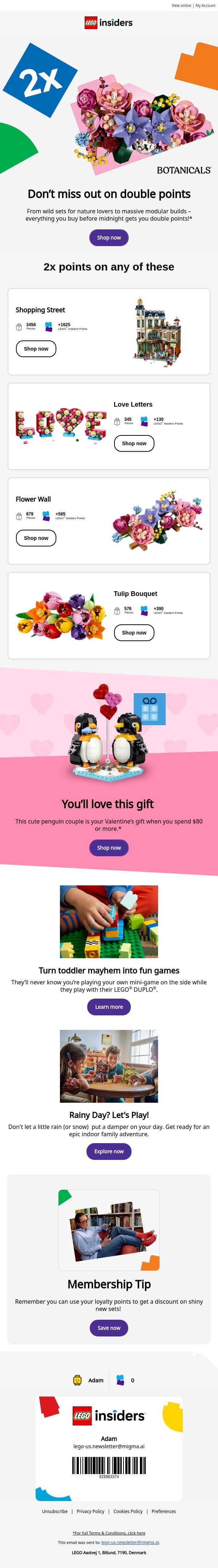 Last day for Double points, adam email from LEGO® screenshot
