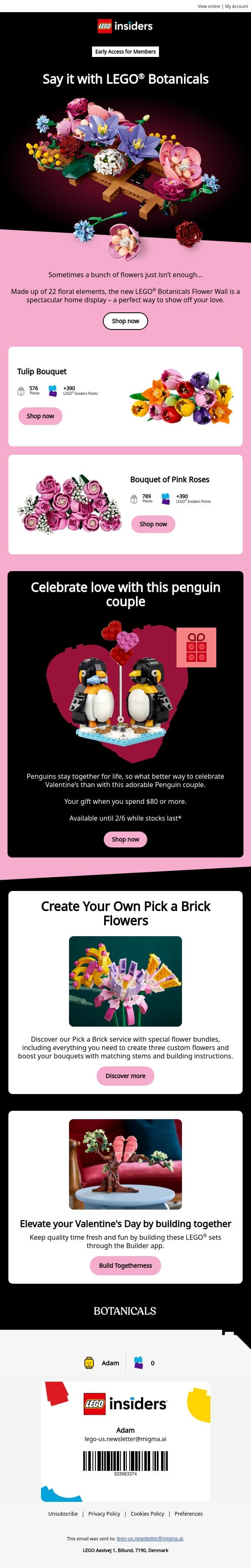 Who knew bricks could be so romantic, adam? email from LEGO® screenshot
