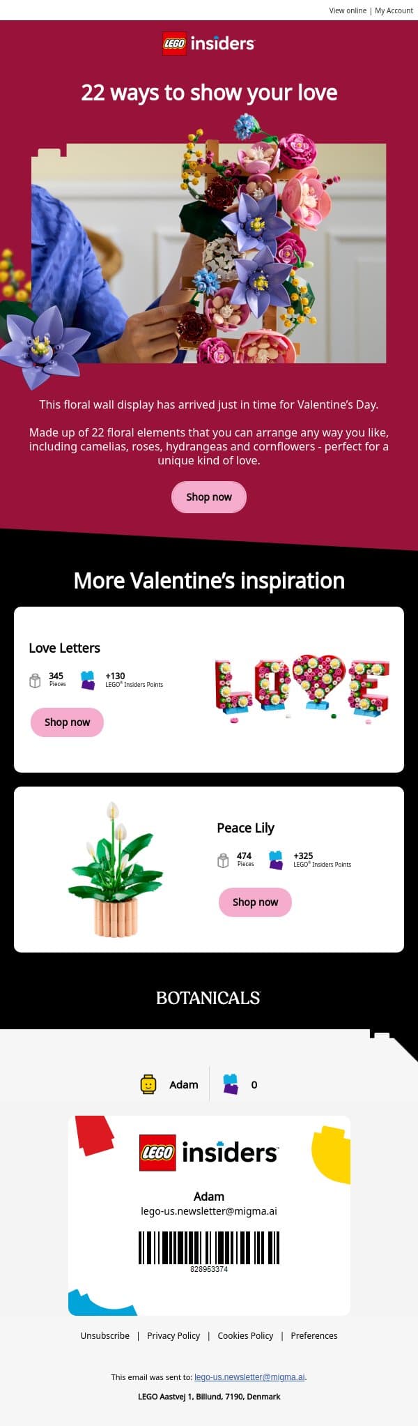 Still looking for the perfect Valentine’s gift, adam? email from LEGO® screenshot