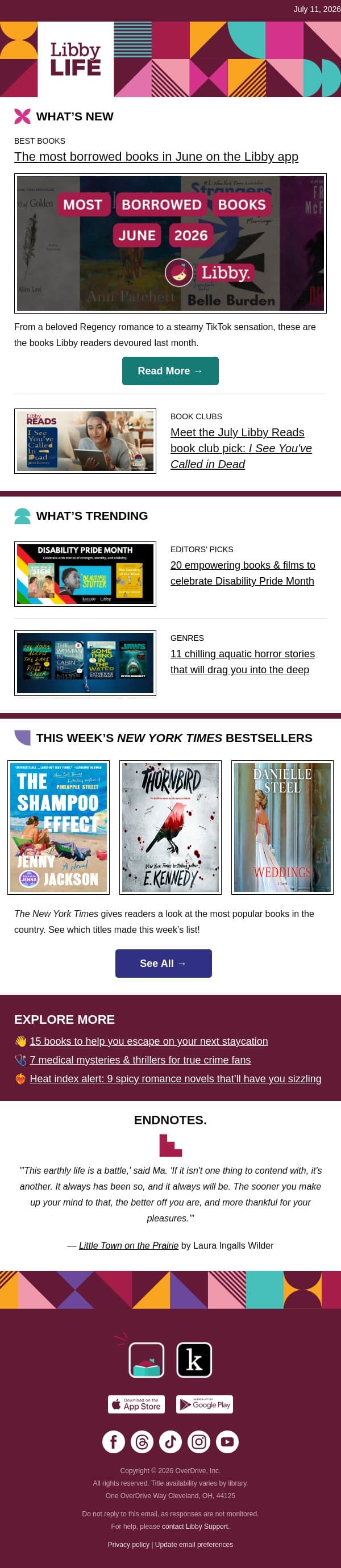 What was everyone borrowing in June? email from Libby screenshot