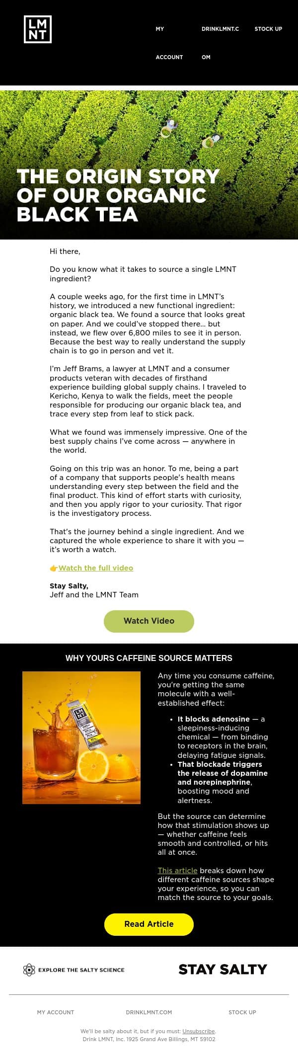 Know what it takes to source a single LMNT ingredient? email from LMNT screenshot