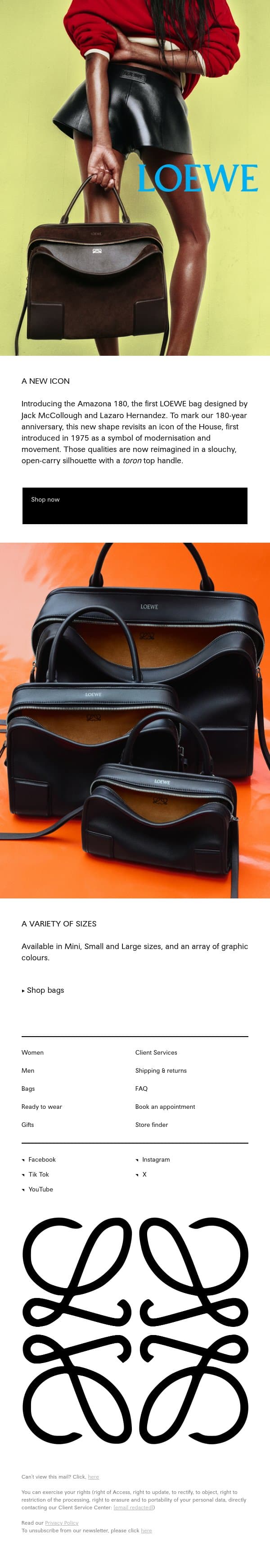 Amazona 180 email from Loewe screenshot