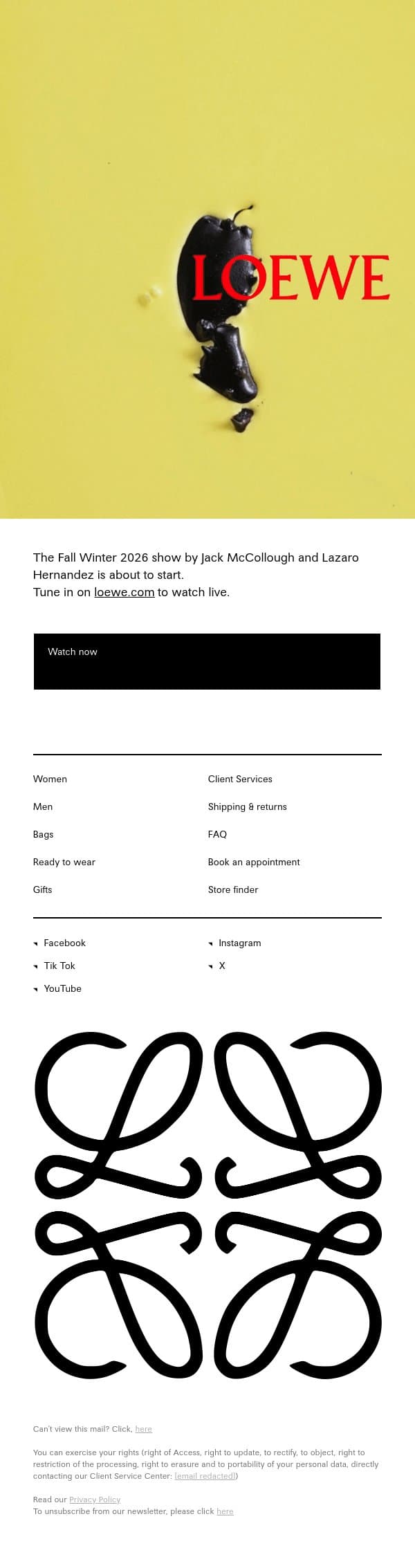 Watch now | Fall Winter 2026 show email from Loewe screenshot