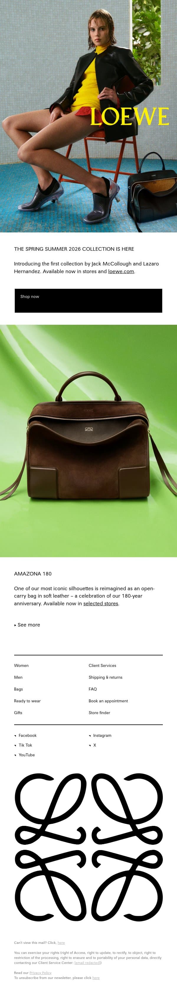 Vibrancy unfolds email from Loewe screenshot