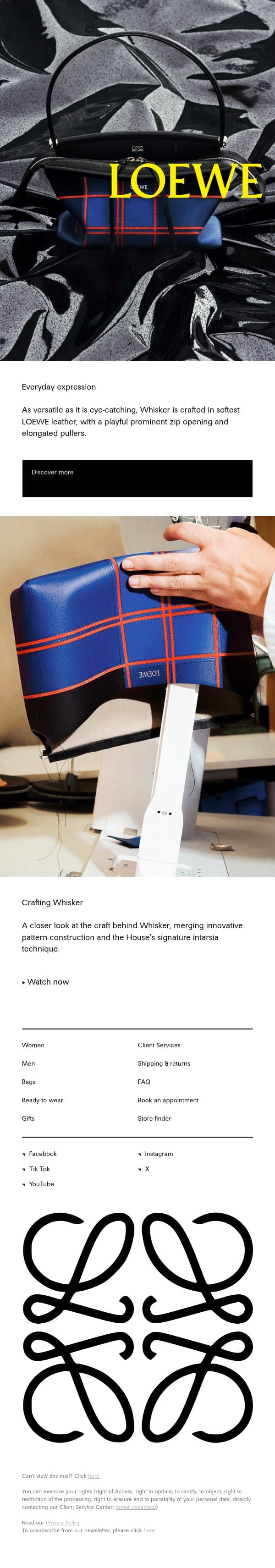 A new character email from Loewe screenshot