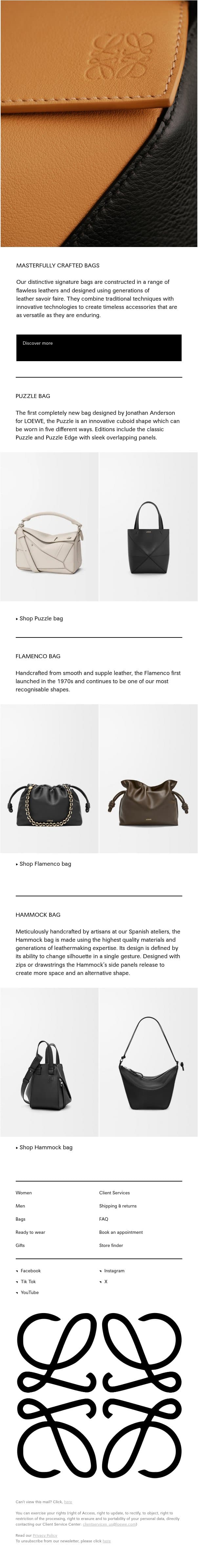 Masterfully crafted bags email from Loewe screenshot