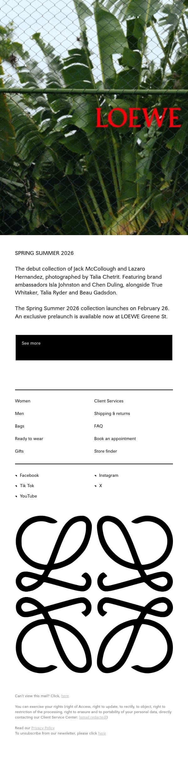 A new vision email from Loewe screenshot