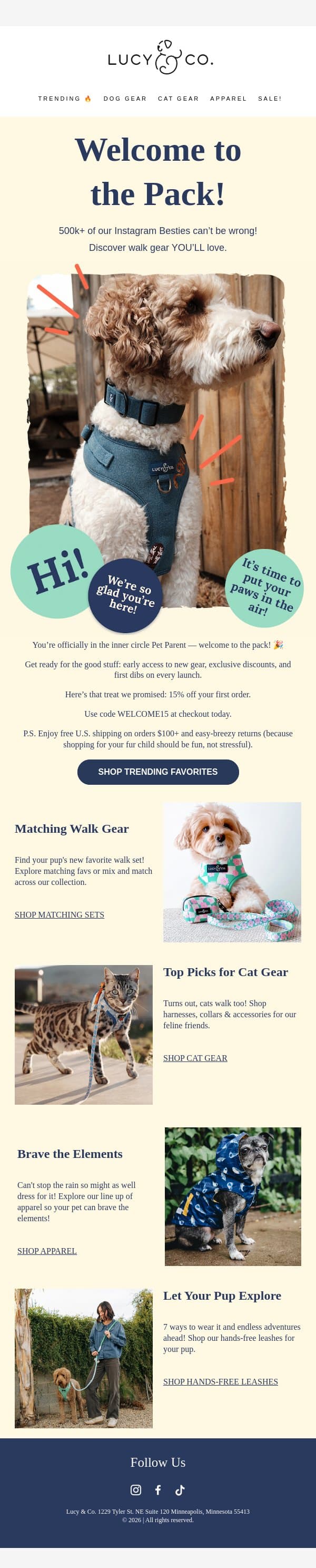 Here's that 15% off we promised!! 💸 email from Lucy & Co. screenshot