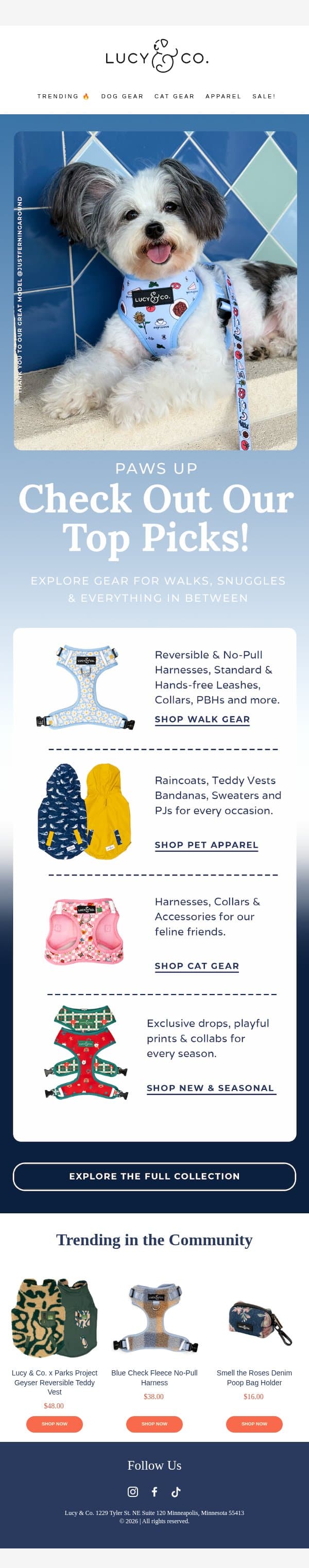 Your new favorite gear all in one place! email from Lucy & Co. screenshot