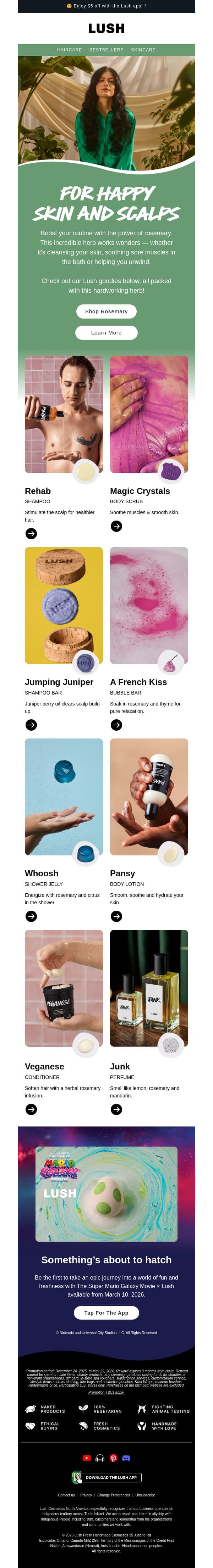 🌿 Rosemary round-up email from Lush screenshot