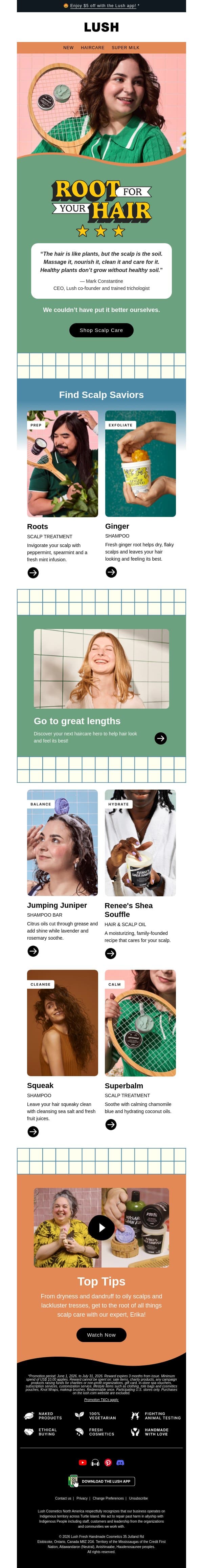 ✨ The root of good hair email from Lush screenshot