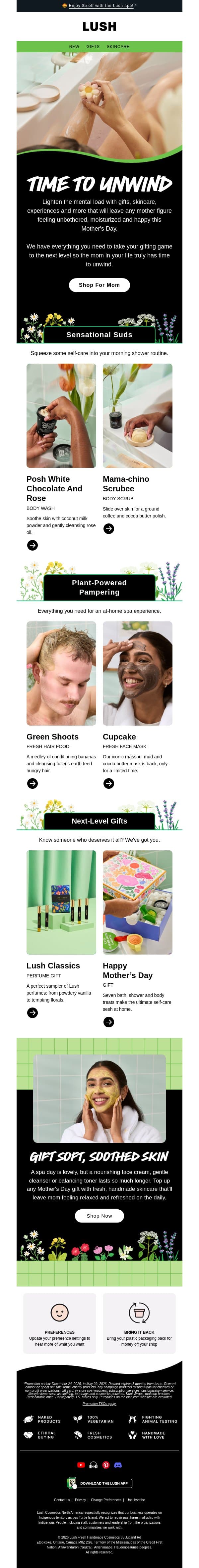 Give mom a break 🎁 email from Lush screenshot