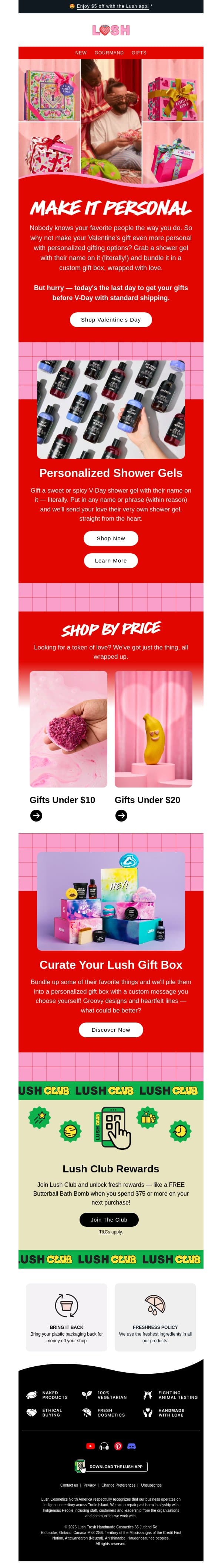 💘 Can we get personal for a sec? email from Lush screenshot