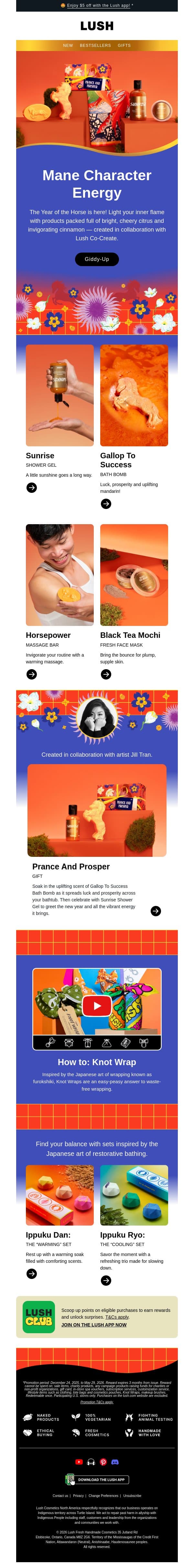 Fresh starts for Lunar New Year 🐴 email from Lush screenshot