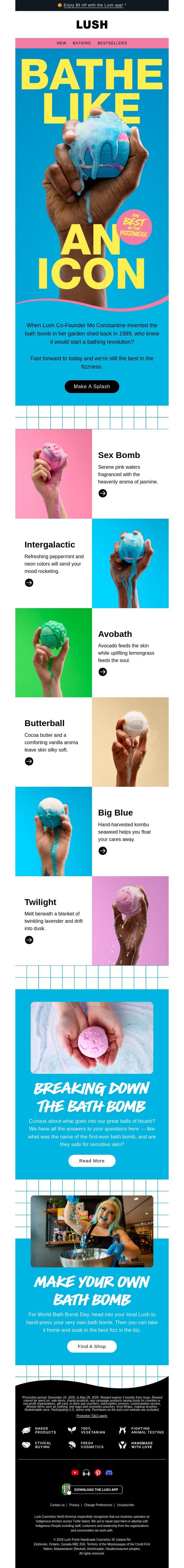 Simply the best 🛁 email from Lush screenshot