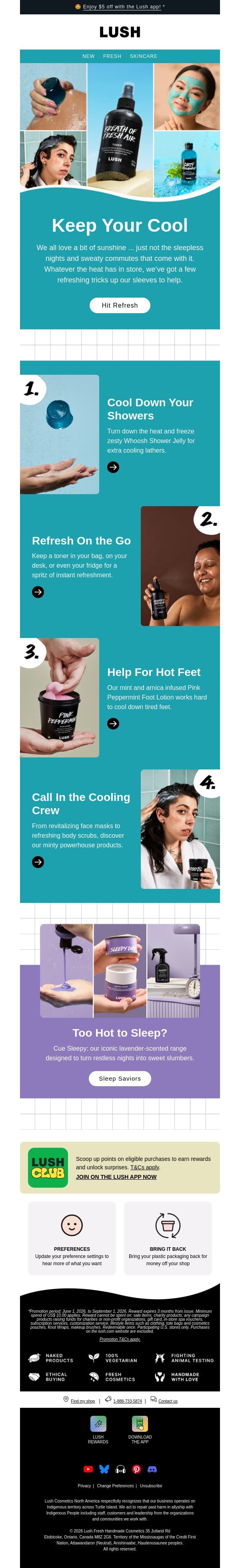 Shop it like it’s hot email from Lush screenshot
