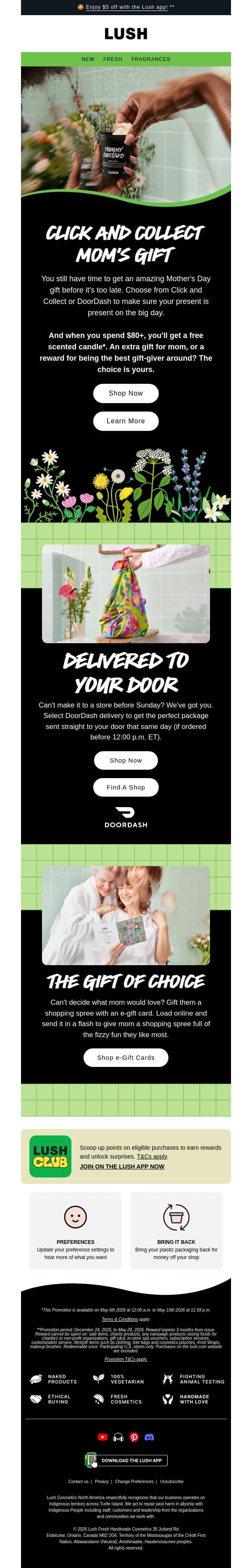 Still need a gift? 🎁 email from Lush screenshot