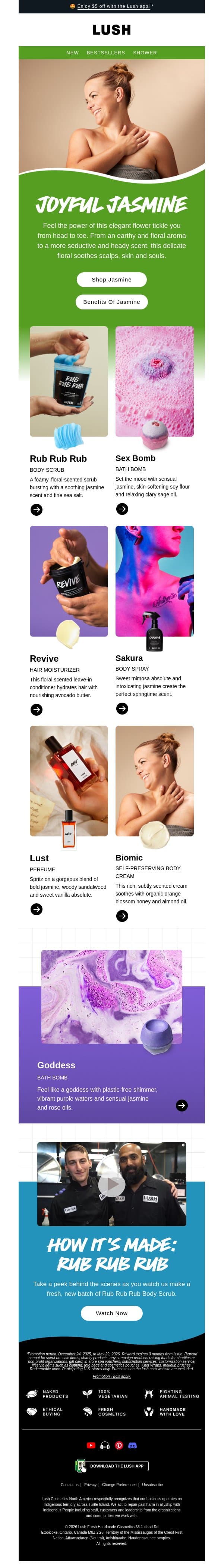Why jasmine? 🌼 email from Lush screenshot