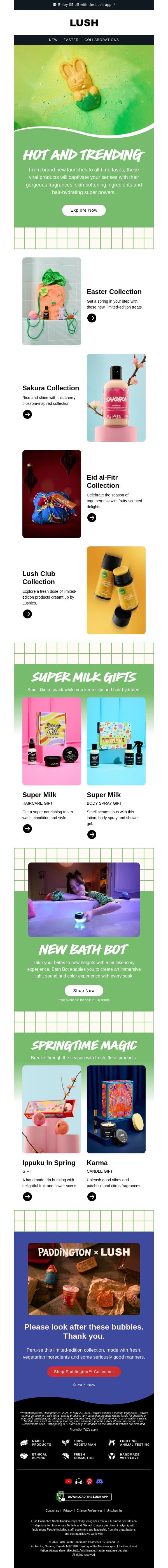 💬 What's everyone talking about? email from Lush screenshot