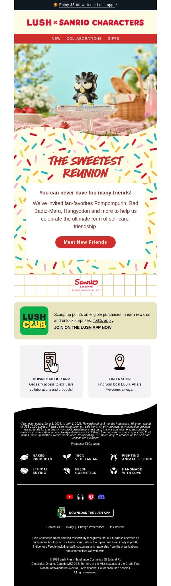 Lush × Sanrio Characters email from Lush screenshot