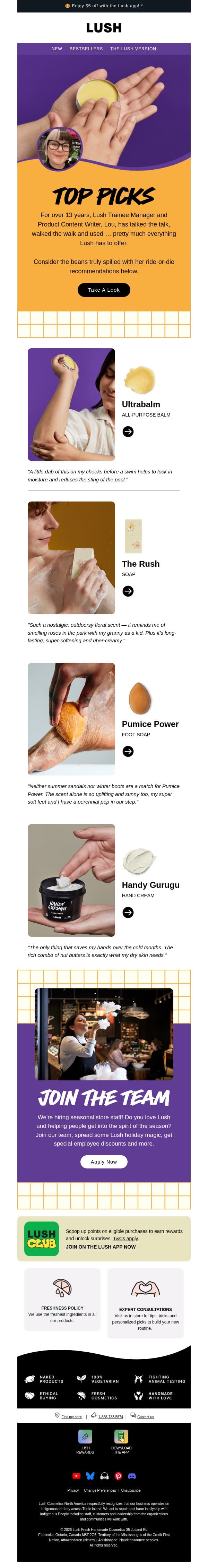 💬 These come highly recommended … email from Lush screenshot