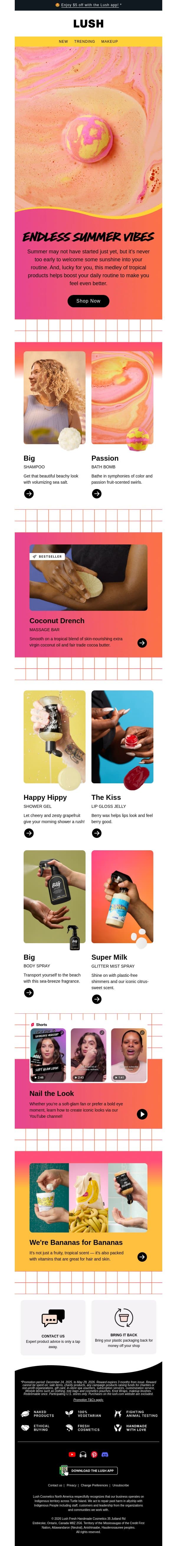Have a Lush life 🏖️ email from Lush screenshot