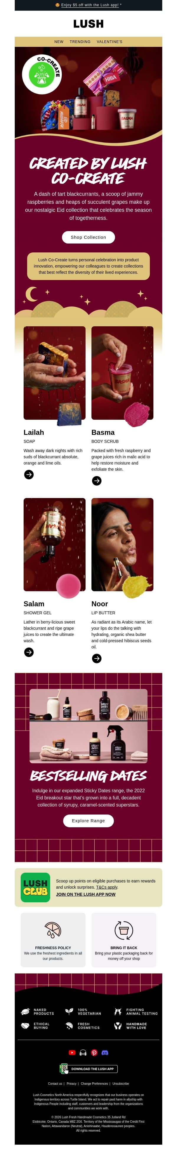 You know the drink 💜 email from Lush screenshot