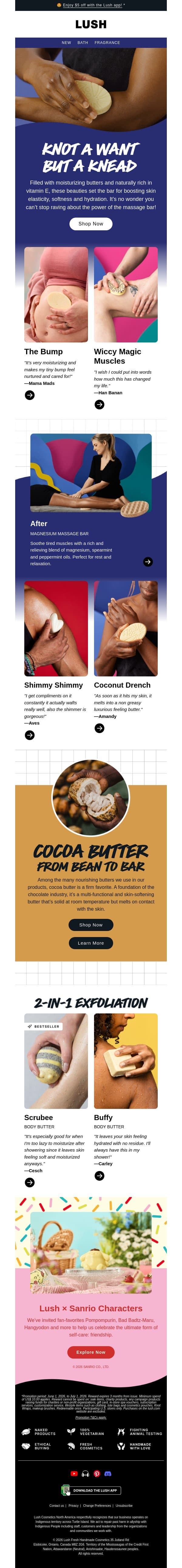 The power of the massage bar email from Lush screenshot