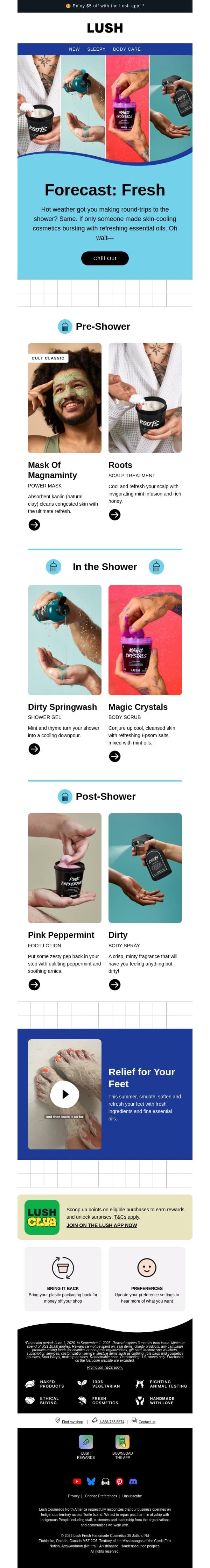 🚿 Keep your cool in the shower email from Lush screenshot