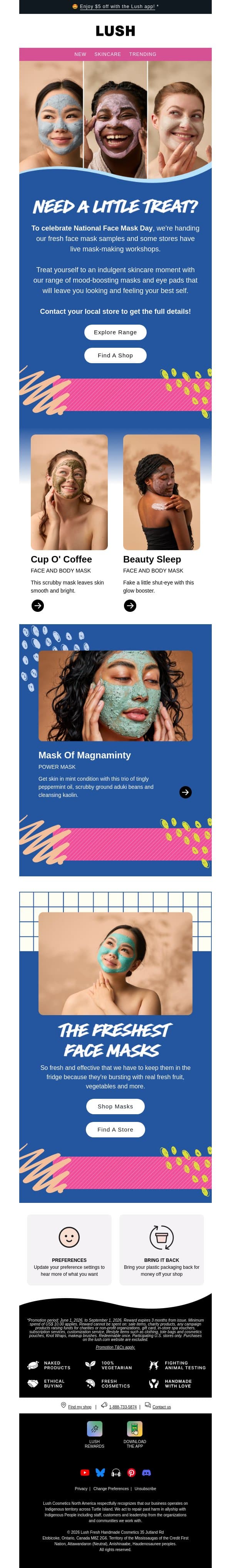 ✨ Get radiant on National Face Mask Day! email from Lush screenshot