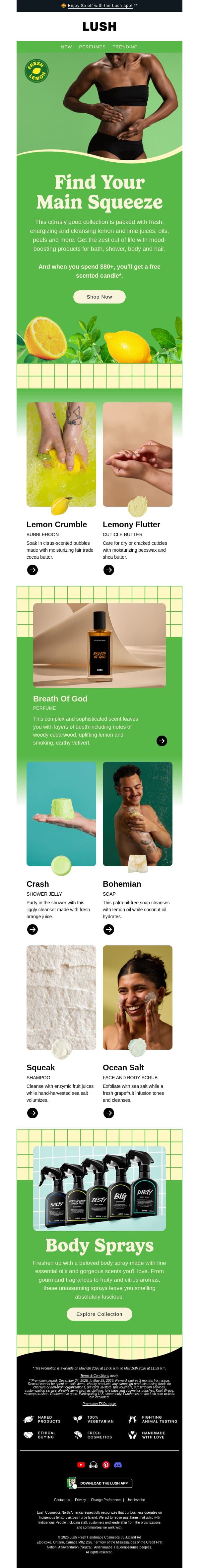 🍋 Get ob-zesst email from Lush screenshot