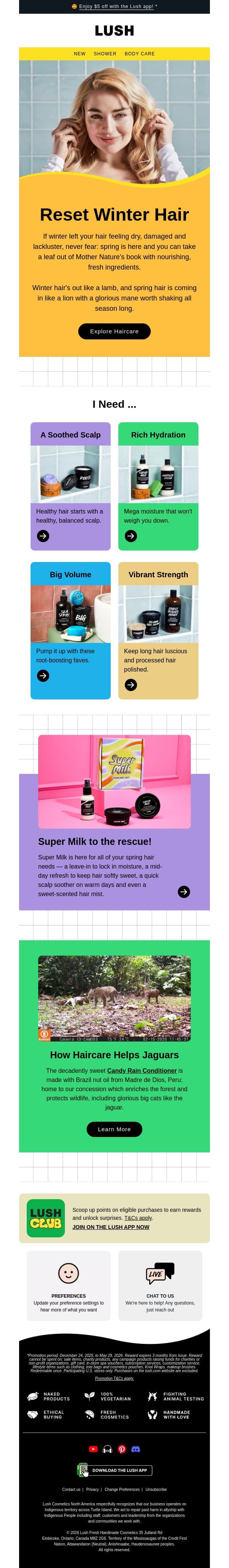 🌸 Spring's haircare heroes email from Lush screenshot
