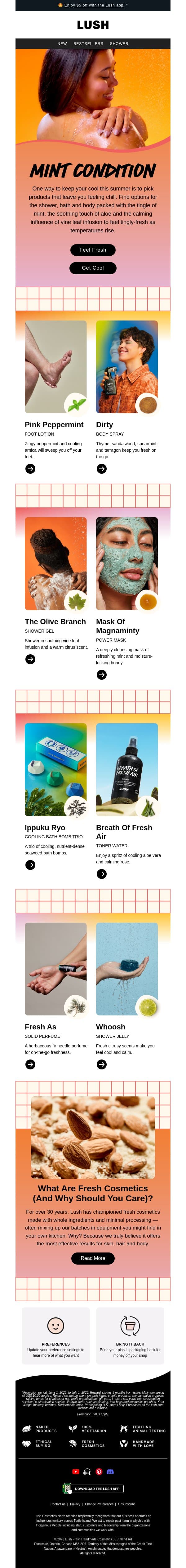I've got chills 🧊 email from Lush screenshot