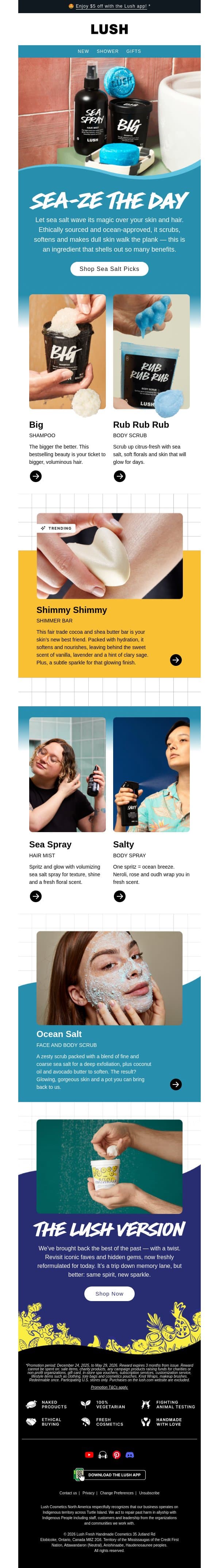 Good old vitamin sea email from Lush screenshot