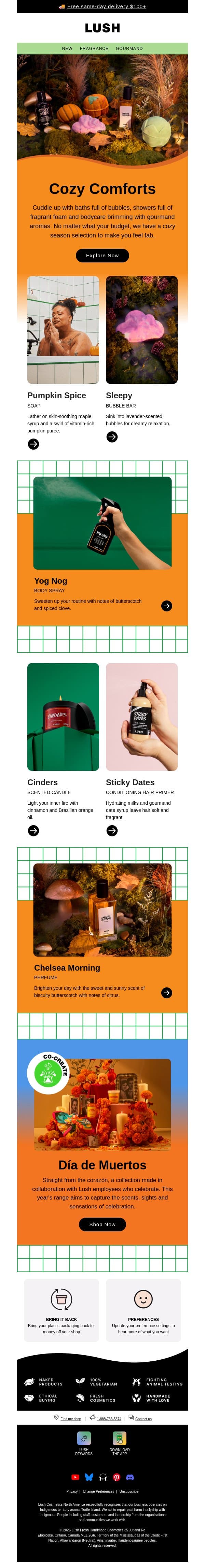 Bathing bliss for every budget ✨ email from Lush screenshot