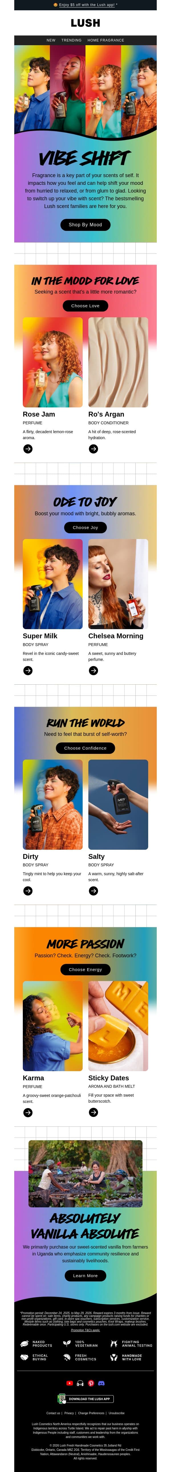What's your vibe? 💫 email from Lush screenshot