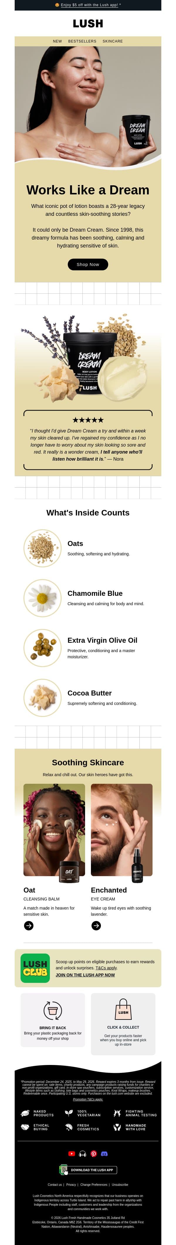 Spotlight: Dream Cream email from Lush screenshot
