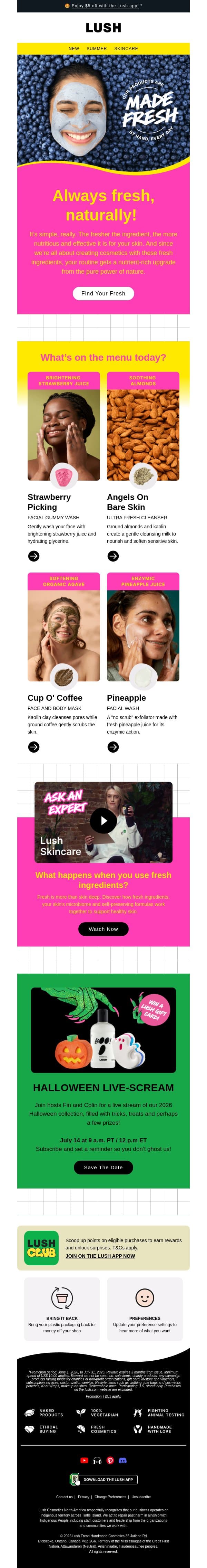 Spotlight on: Fresh email from Lush screenshot