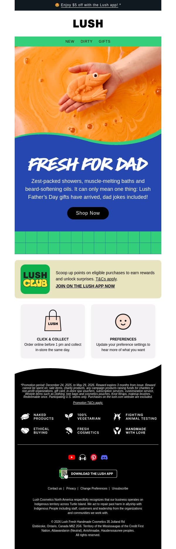 Father's Day finds email from Lush screenshot