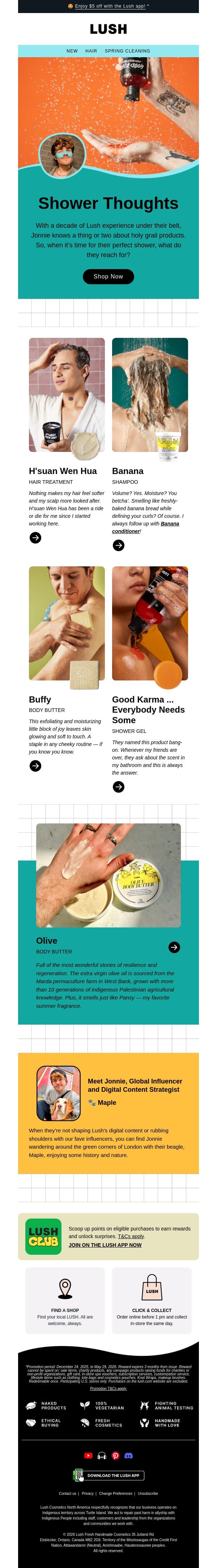 🚿 The perfect shower email from Lush screenshot