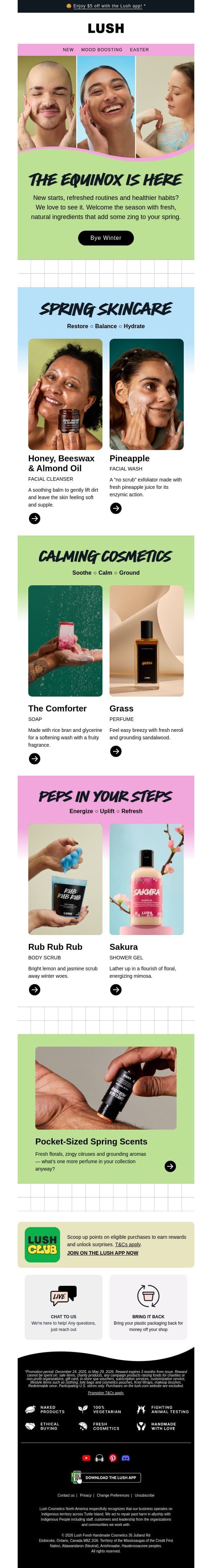 🌱 Your spring reset starts here email from Lush screenshot