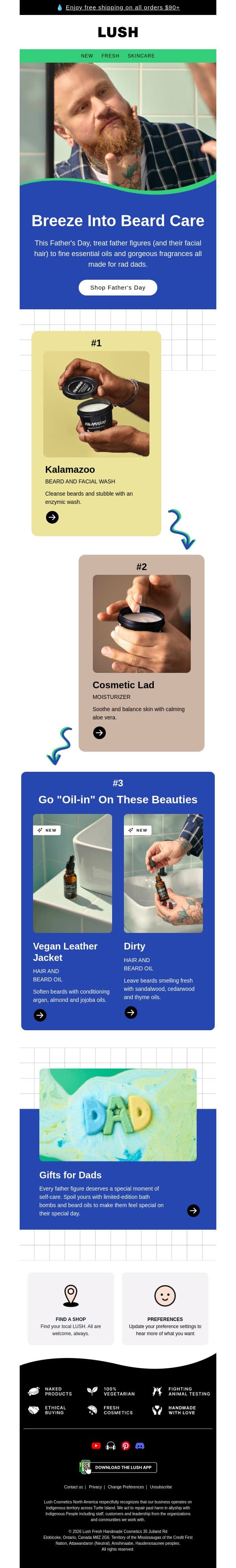 Grooming goodies for Dads email from Lush screenshot