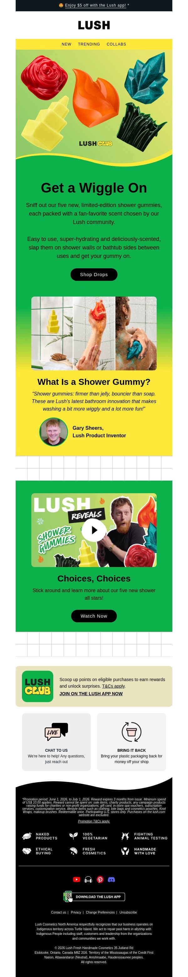 Over 800+ responses later … email from Lush screenshot