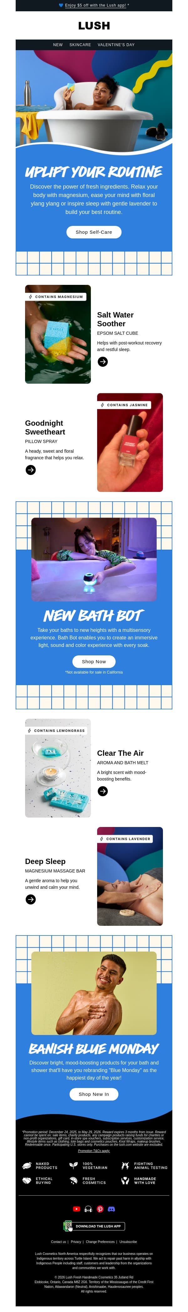 💙 Bye bye, Blue Monday email from Lush screenshot